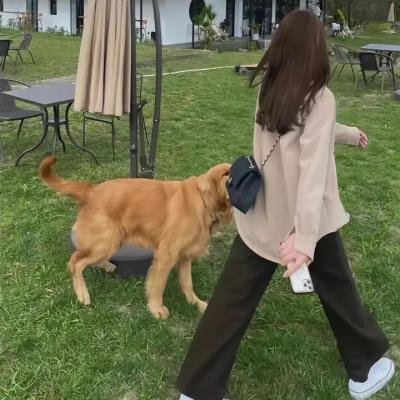 格拉斯医生